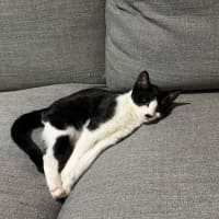 Photo of Zip