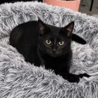 Photo of Hattie