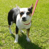 Photo of Wanda