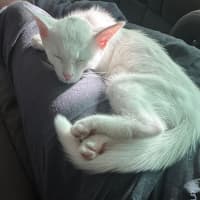 Photo of Candy