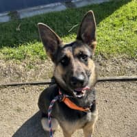 Photo of Trudy