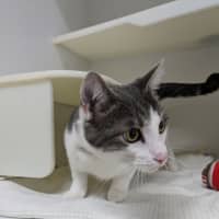 Photo of 📺 Toulouse 5727 📺