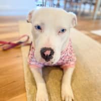 Photo of Grace