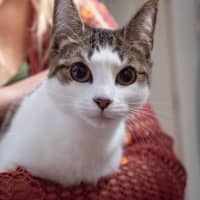 Photo of Penny & Essie 