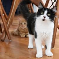 Photo of Gretel Moriarty