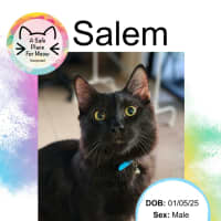 Photo of Salem