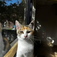 Photo of Grace