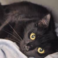Photo of Precious