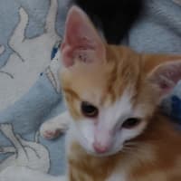 Photo of Gigi
