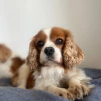 Photo of Millie