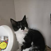 Photo of Bubble