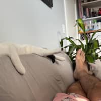 Photo of Sooty And Pickle