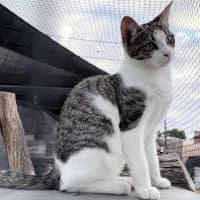 Photo of Macy