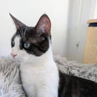 Photo of Francis 🌹🌹