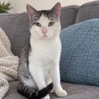 Photo of Tom
