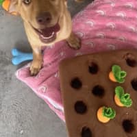 Photo of Holly