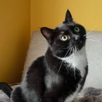 Photo of Sunny