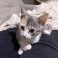 Photo of Georgia 🍒