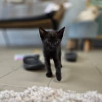 Photo of Jelly Belly