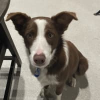 Photo of Colin