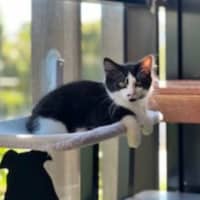 Photo of Colby