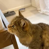 Photo of Big Boy
