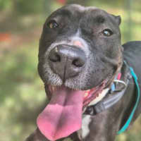 Photo of Bonita