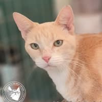 Photo of Eagless And Weston