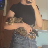 Photo of Gizmo