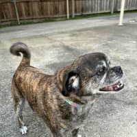 Photo of Covah And Teddy