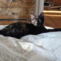 Photo of Leeni
