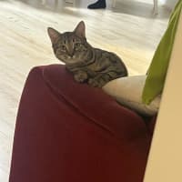 Photo of Woody