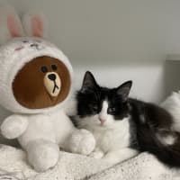 Photo of Tiffany