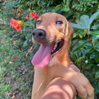 Photo of Max