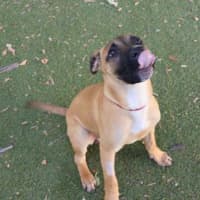 Photo of Mutt Damon