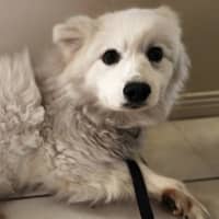 Photo of Keiko