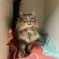 Photo of Pamela