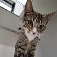 Photo of Kiwi