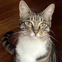 Photo of Bosco