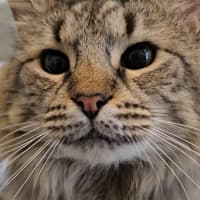 Photo of Leon