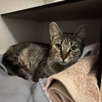 Photo of Manny