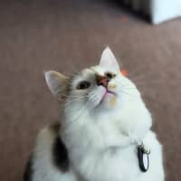 Photo of Julian