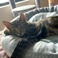 Photo of Moe