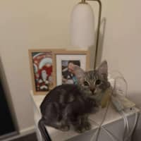 Photo of Max