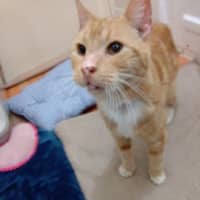 Photo of Baggins / Mr Big
