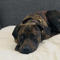 Photo of Uncle Fester