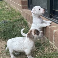 Photo of Gyn (Was Luna)