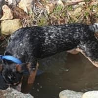 Photo of Wesley’s Theory