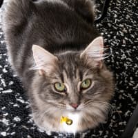 Photo of Matilda