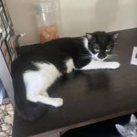 Photo of Tilly
